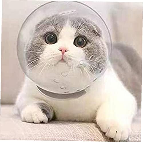 Gato transpirable capucha protectora Zonster para curar heridas y bañar sin peligro 3