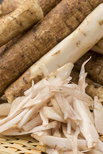 Health Embassy Burdock Root (Arctium lappa L), 100g