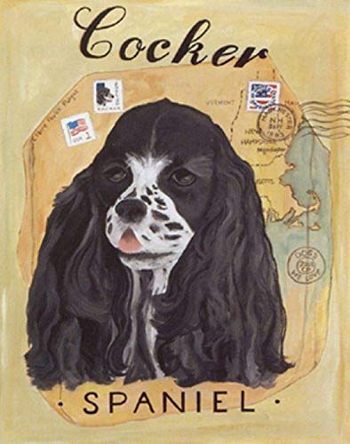 BUY ART FOR LESS Cocker Spaniel by Claire Purgus 14 X 11 Poster