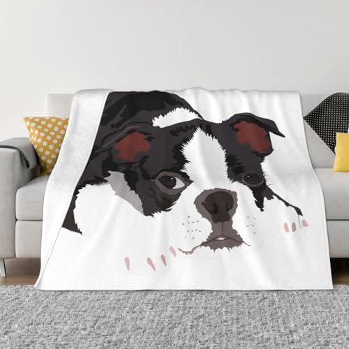 uPbg {XgeA  (1) 킢  ѕz GARuPbg ӂӂ  tl Ђ| _炩G g Ódh~ 􂦂 lC v[g lGKp 100cmx125cm