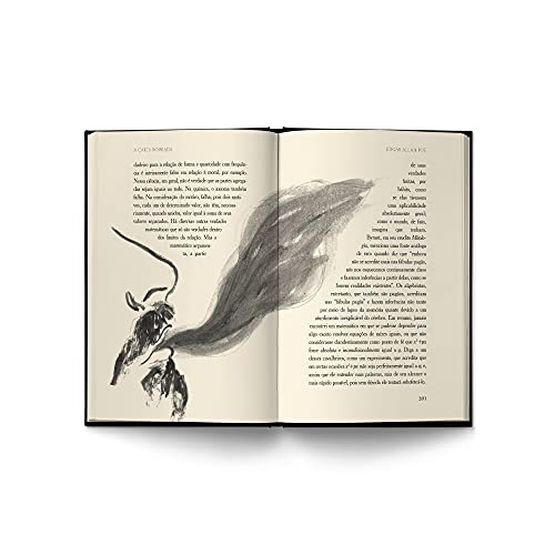 Os Assassinatos na Rua Morgue e Outros Contos - Venda Exclusiva