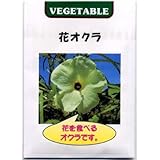 花オクラ（トロロアオイ）の種 2袋セット[ハナオクラ 粘り気のある花を食べる野菜 4～5月まき][野菜タネ]