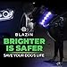 Blazin Light Up Dog Collar - The Original LED Dog Collar - USB Rechargeable - Waterproof - 1,000 Feet of Visibility - Dog Collar Light for Small, Medium, Large Dogs - USA Brand