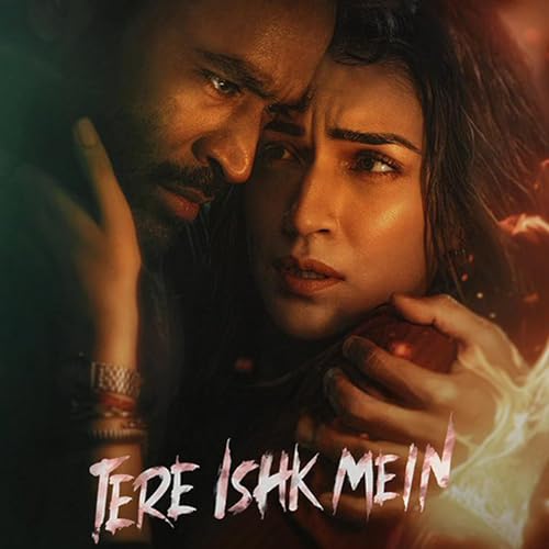 Tere Ishq mein movie short summary