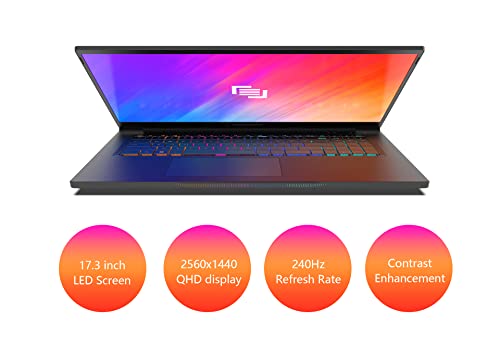 Maingear Vector Pro 2 (2022) 17.3 Inch Rtx 3080 Ti Gaming Laptop, Intel Core I9-12900H Processor, Nvidia Geforce Rtx 3080 Ti 16Gb Gpu, 17.3 Inch 240Hz Qhd Display 64Gb Ddr5 Ram 2Tb Nvme Ssd Win 11 Pro #TOP2