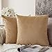 MIULEE Copricuscini Divano Camera da Letto Cuscini Arredo Fodere Arredamento Casa Federe Moderni Elegante Morbido Resistente in Velluto con la Cerniera Invisibile 2 Pezzi Cachi 40X40 CM