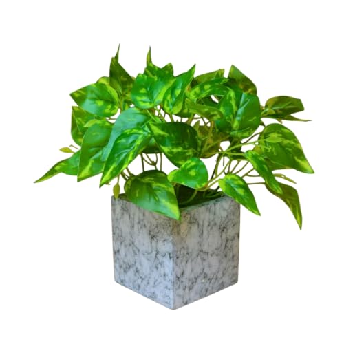 Image of fancymart Artificial Plant with Real-Touch Leaves in Pot, 25 cm, Indoor Tabletop Item for Home Decor, Office, Living Room