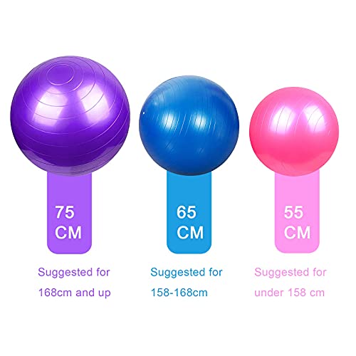 SK Depot™ Exercise Ball 48-55cm (M) Extra Thick Yoga Ball Chair, Slow Deflate Fitness Ball Stability Ball for Improved Posture, Balance, Yoga, Pilates, Core, Fitness Exercise Training Balance Yoga Class Core Office & Home & Gym Ball (Silver) by SK DEPOT - Image 5