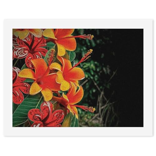 Peinture par numéros adultes fleurs hawaïennes idée cadeau créatif