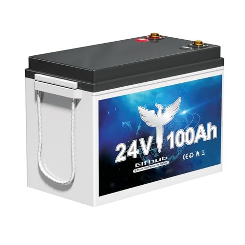 24V 100AH LiFePO4 Battery with 2560W Load, BMS, Deep Cycle
