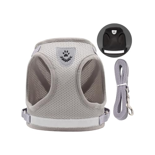 pn[lX[vZLAȃEH[LOMAt˃lbg`FXgXgbvybgOANZT[`FXgXgbv𒲐