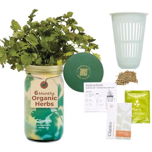 Modern Sprout Mason Garden Jar - Self-Watering Hydroponics Growing System Kit with Organic Herb Seeds - Jar Planter for Indoor Herb Garden - Seed Starter Kit - Home Decor & Gifting - Cilantro