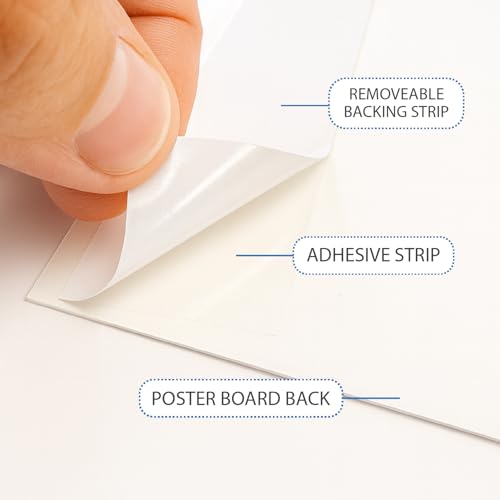 White Quick Stick Poster Board, 14″x22″ – 4 Pack – Self-Adhesive, Peel and Stick Poster Board with Mounting Strips – Heavyweight 20 PT, 300 GSM – C1S Coated – No Tape Needed