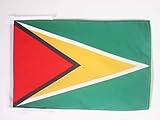 AZ FLAG Guyana Flag 18'' x 12'' Cords - Guyanese Small Flags 30 x 45cm - Banner 18x12 in