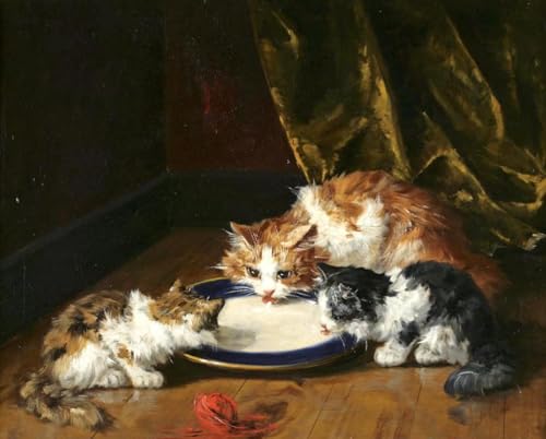 Pintura por números contra el estrés diario con tres gatos en lienzo de óleo