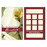 Premium neutrale Bonuskarten 250 Stk. mit 10 Stempelfeldern. Treuekarten passend für Gastronomie, Restaurant, Weinhandel, Getränkehandel, Gaststätte Friseur Nagelstudio Wellness Podologie Praxis