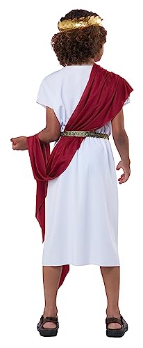 California Costumes Basic Toga Child Costume