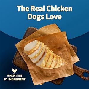 Blue Buffalo Freedom Grainfree Senior Wet Dog Food Free of Glutens  Artificial Preservatives Made with Natural Ingredients Chicken Recipe 125oz Cans 12 Count  Cucciolini Doodles Blue buffalo freedom grain free senior wet dog food free of glutens  artificial preservatives made with natural ingredients chicken recipe 12 5 oz Cans 12 count   cucciolini doodles