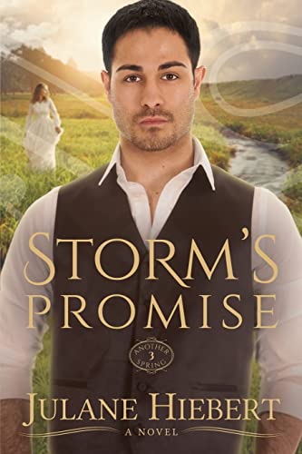 Storm's Promise: 3 (Another Spring Trilogy) view 2