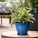 EPFamily Ceramic Planters for Indoor Plants - 6.8 Inch Plant Pot with Drainage Hole and Saucer Round Modern Planter Home Garden Patio Decor Blue