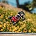 ARRMA RC Car Typhon GROM 4X4 223S BLX BRUSHLESS Small Scale Buggy RTR with DSC, Battery & Charger Included, RED, ARA2306ST1