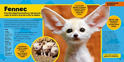 Il Primo Grande Libro Dei Cuccioli. Ediz. A Colori - 10