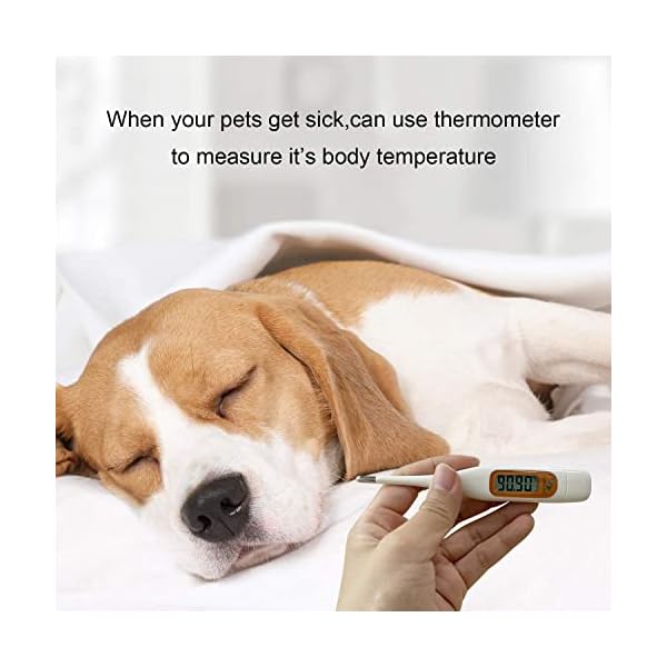 Pet First Aid Kit, Veterinary First Aid Bag for Dog, Cat, Rabbit, Animal, with Otoscope, Feeder,Perfect for Home Care and Outdoor Travel Emergencies Pet First Aid Kit, Veterinary First Aid Bag for Dog, Cat, Rabbit, Animal, with Otoscope, Feeder,Perfect for Home Care and Outdoor Travel Emergencies