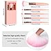 Travel Brush Set, Portable 5 PCS Mini Makeup Brushes with Mirror, Easy-taken Makeup Tool Set for Eyeshadow, Contour, Blush, Complete Function Cosmetic Profesional Tools (Pink)