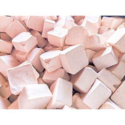 Forest Aquatics 50 x Astaxanthin Colour Enhancing Mineral Block Food for Shrimp Snails Plecos Crabs Nerites Ramshorns Cover