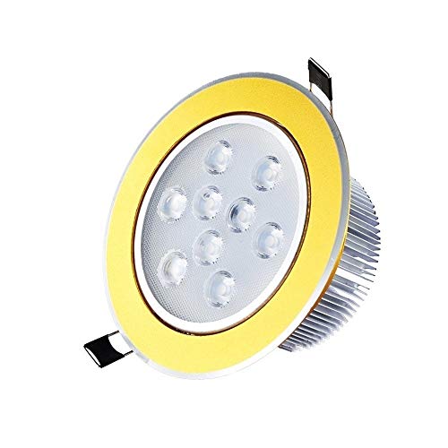 DLGGO Facile à installer au plafond encastré à écran plat dans la lumière Panneau LED 3w 5w 7W 12W |6000K |110-240 ronde réglable Spotlights haute luminosité for Hall d'entrée Salle de bains Scène et Cover