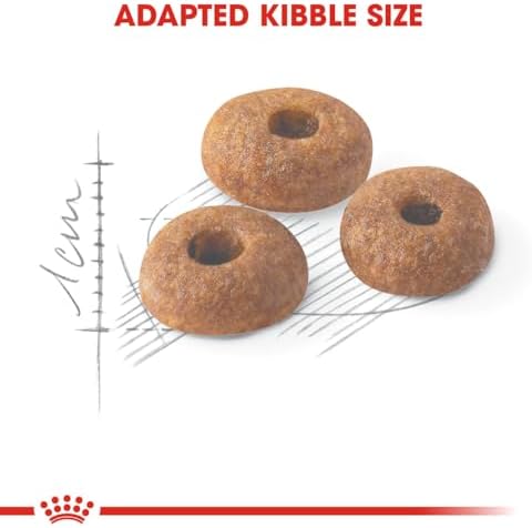 Royal Canin Fıt 32 Kedi Maması, 15 Kg - Görsel 6