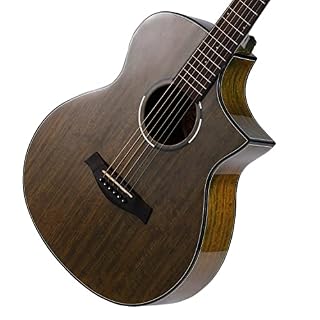 MEIeynt Ensemble de démarrage pour Guitare Acoustique pour débutant de 40 po avec étui, Sangle, capodastre, Cordes… - Les Beatles, Paul McCartney, John Lennon, RIngo Starr, George Harrison MEIeynt Ensemble de démarrage pour Guitare Acoustique pour débutant de 40 po avec étui, Sangle, capodastre, Cordes… – Image 2