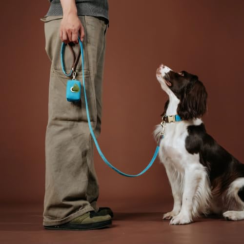 Image of Didog PU Leather Dog Collar for Large Dogs, Soft Nylon Lining, Light Blue L