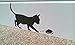 "Cat et Mouse" Autocollant Mural en Vinyle Trou Souris Plinthe 16 cm x 6 cm Vendeur Britannique