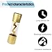 BDZMC 60A Gold Plated Glass Inline Car Audio Fuse, 5Pack for Auto/Marine Audio Stereo Amplifier Protection