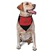 Morocco Flag Triangle Dog Bandana Scarf Accessories for Pet Bibs