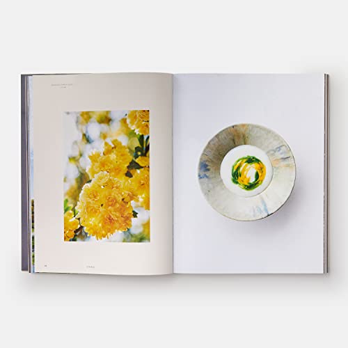 Monk: Light and Shadow on the Philosopher's Path