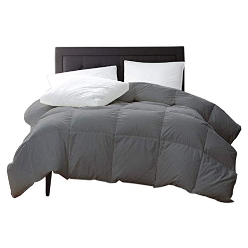New York Mercado 100% Organic Cotton Comforter Luxury And Premium Quality Quilted With Corner Tabs 500 Gsm Gots Certified 800 Tc All Season Warm Fluffy Ultra-Soft Comforter King/Cal-King,Elephant Grey #TOP10