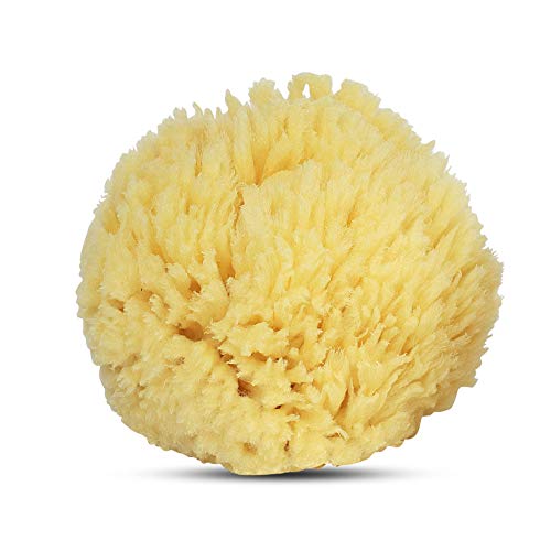 Baby Buddy Absorbent Natural Bath Sponge, Ultra Soft Premium Sea Wool Sponge, Soft On Baby’s Tender Skin, Bath Accessories Baby And Kids, Infant Bath Item, Biodegradable, Hypoallergenic, Brown, 4.5In #TOP2
