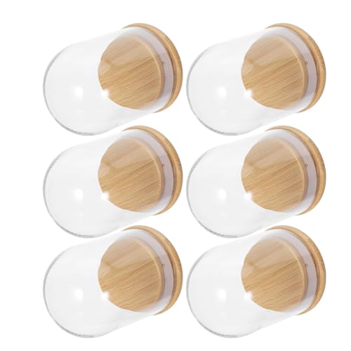 UKCOCO Cúpula de Cristal Transparente 6 X 8...