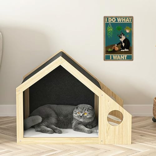 Bestylez Funny Cat Pictures Wall Decor Cat Sign - I Do What I Want, 8 x 12 Inch