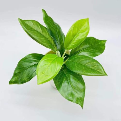 Wablissia 人工観葉植物 フェイク グリーン 小型 プラスチック製 造花 ミニ盆栽 インテリア オフィス 緑化 グッズ メンテナンス不要 植物 卓上装飾(C) [4]