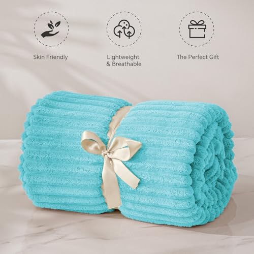 Image of BEDELITE Baby Blankets for Boys Girls 30 inchx 40 inch - 3D Ribbed Jacquard Cute Fuzzy Fleece Blanket, Warm and Breathable Soft Cozy Infant Toddler Blanket for Newborn All Seasons Suitable, Light Blue