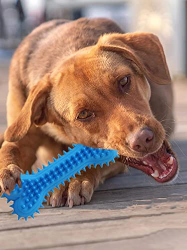 Image of Dog & Puppy Rubber Chew Toys I Combo- Football Silicon Dumbbell Squeaky Chicken Medium I Pack of-3 (Combo-H)