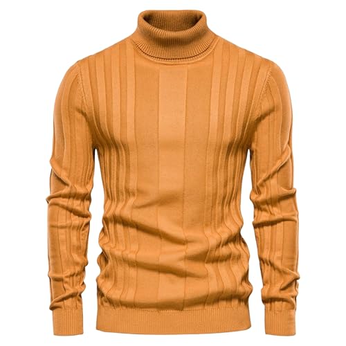 Pull à col roulé décontracté homme en maille torsadée ajustée