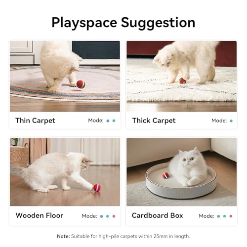 image for Cheerble 【2025 Upgrade】 Interactive Cat Ball Toy, Wicked Ball M3, 