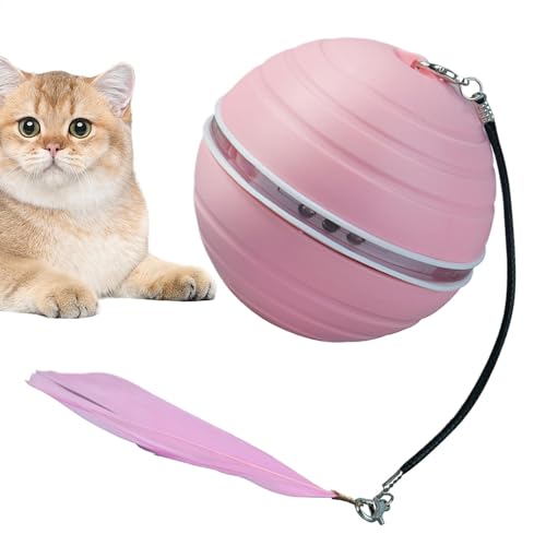Interactive Cat Ball Toy, Rechargeable Cat Toy, Rolling Cat Toy, Funny Cat Ball, Automatic Pet Toy, Cat Play Ball, Pet Toy for S