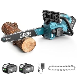 SEESII Tronconneuse a Batterie 12 Pouces, 1200W Tronçonneuse Électrique Sans Fil - 2x4Ah Batteries, Chargeur, Lubrification Auto, Tension Chaîne Sans Outil, Frein Chaîne, Coupe-Bois, Jardin et Arbres