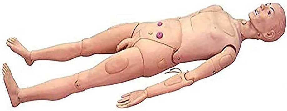 Multi-Functional Training CPR Simulator Male and Female Nursing Manikin Human Anatomical Model for Nursing Medical Training
