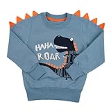 【Occasion】Bestes Geschenk für Jungen zum Geburtstag, zu Ostern, Halloween, Thanksgiving, Weihnachten. Das Sweatshirt für Jungen kann als Sportkleidung, Alltagskleidung, kausale Kleidung zu Hause oder im Freien verwendet werden. Leicht mit Jeans, Strickjacken und Jacke zu kombinieren.